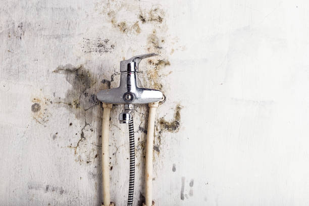 Perry, OH Mold Removal Company
