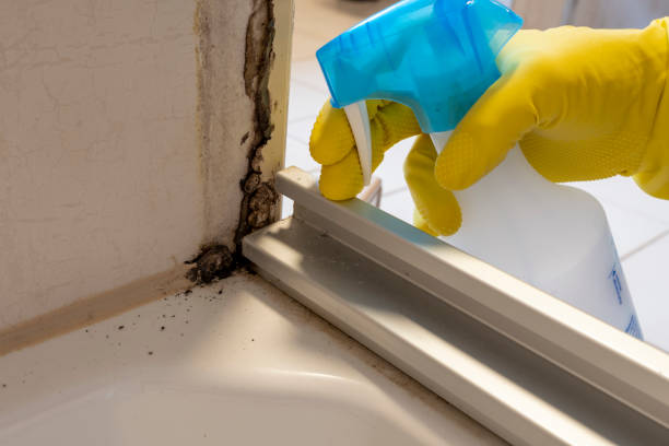 Best Emergency Mold Removal  in Perry, OH