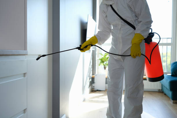Best Crawl Space Mold Removal  in Perry, OH